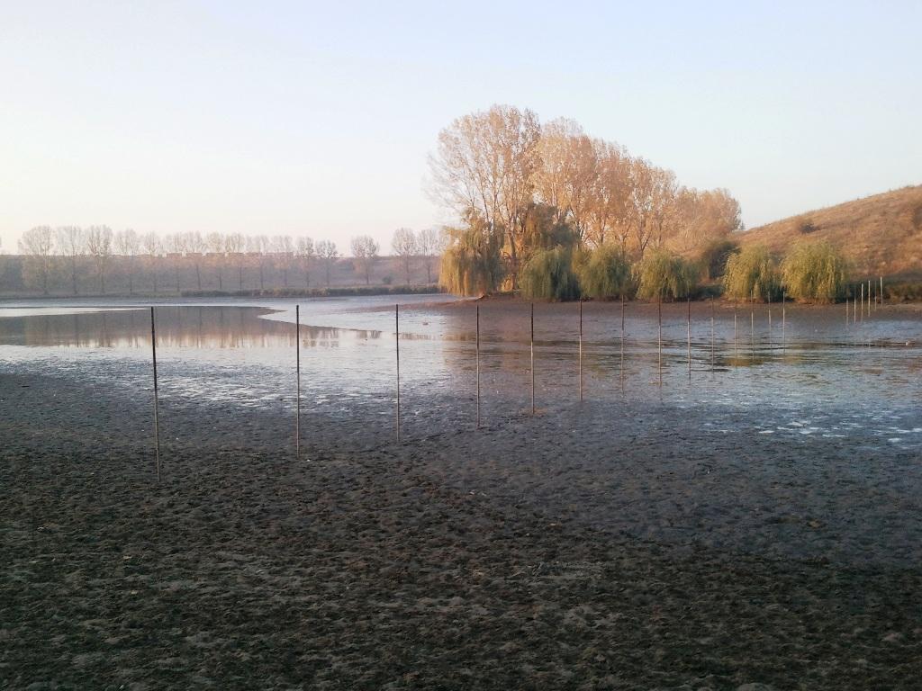 Frasinet was - become - become